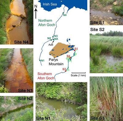 Microbial Community Shifts in Response to Acid Mine Drainage Pollution Within a Natural Wetland Ecosystem